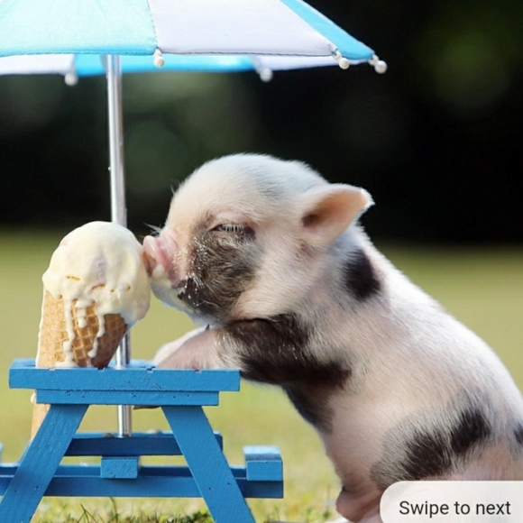 Meet your Posher, Anne - Picture 8 of 8